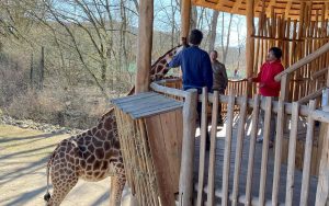 Ausflugswochenende im Bernardo-Timm-Haus